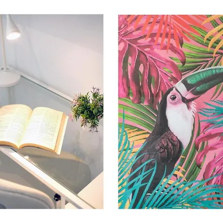 Dream Papagayo, Appartement *